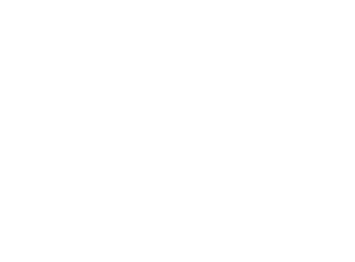 Switching Gears for Net Zero